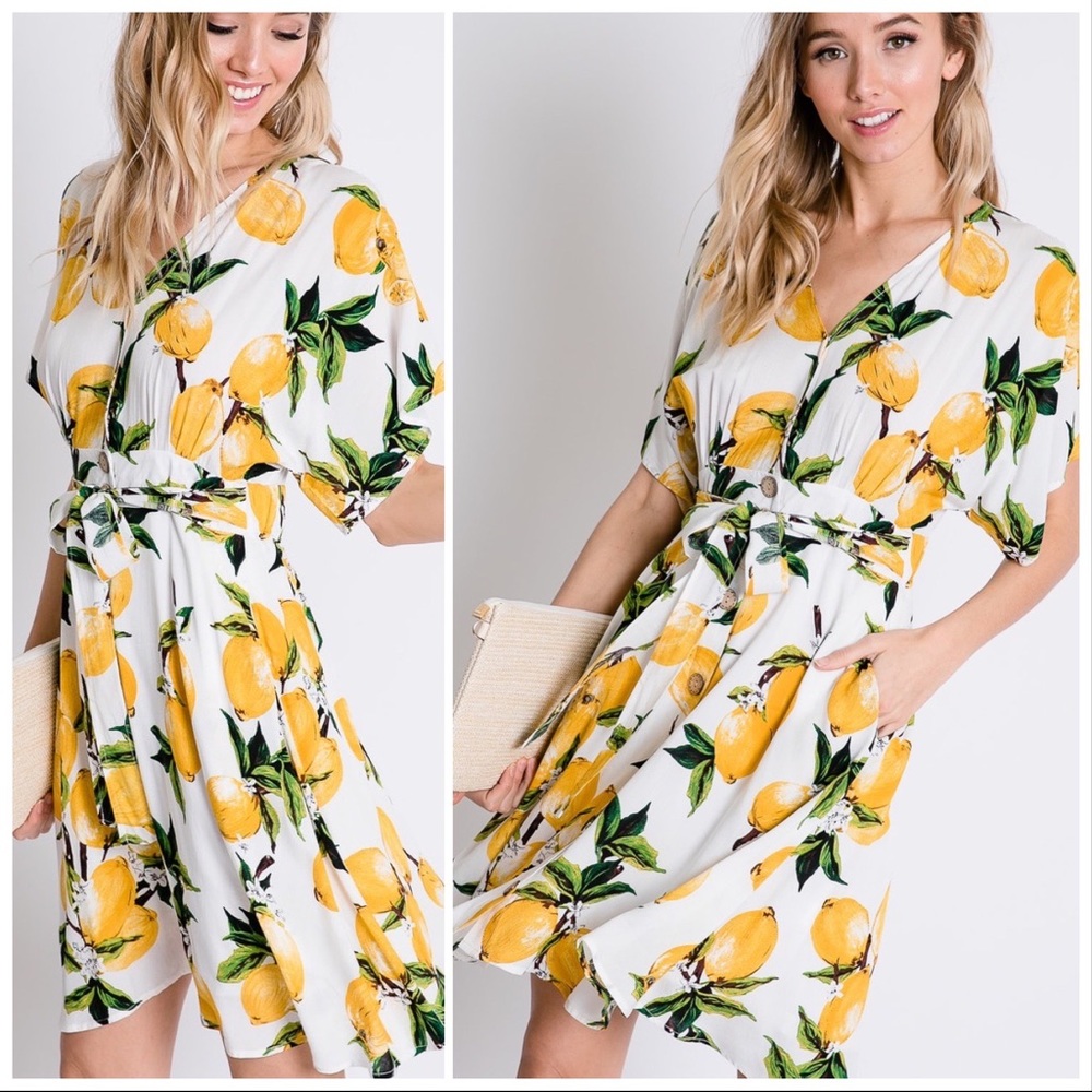 Delilah Loves Lemons Botanical Dress - Picture 7 of 8